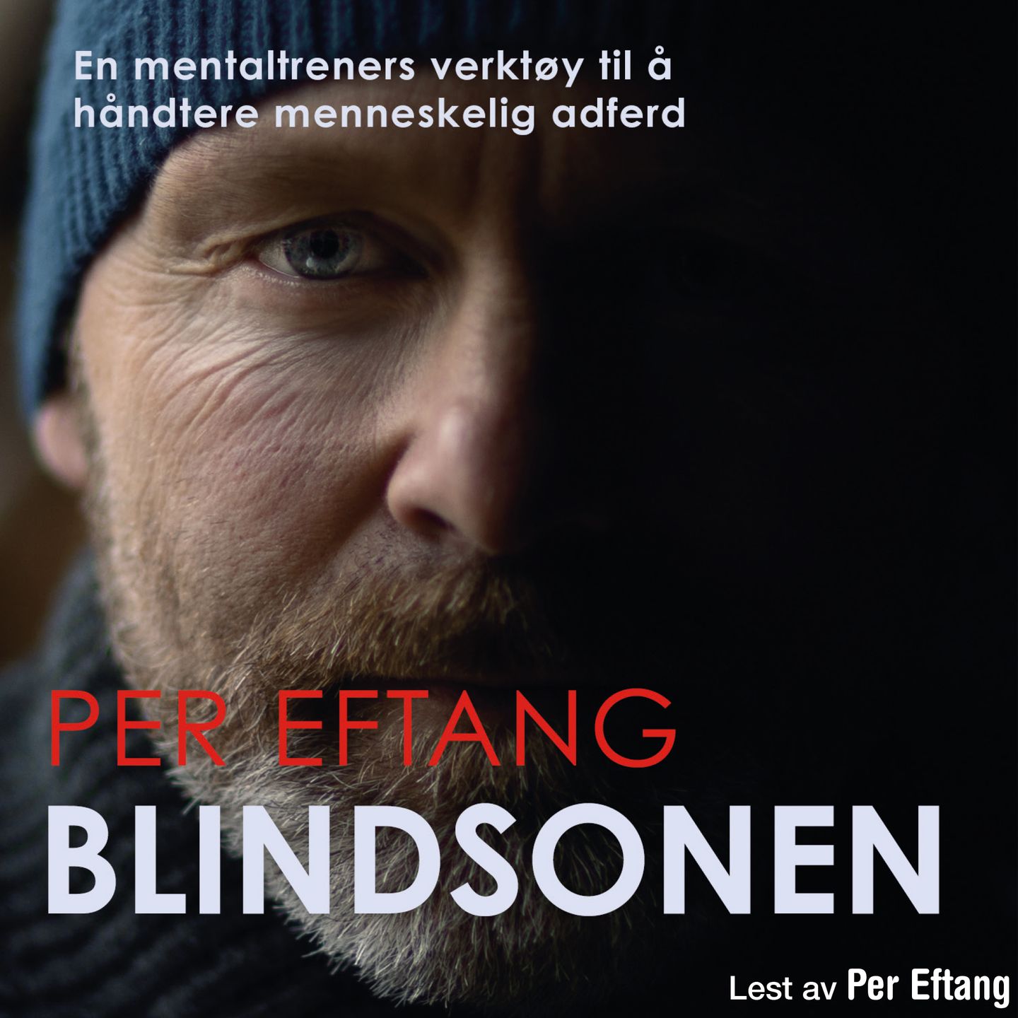 Blindsonen