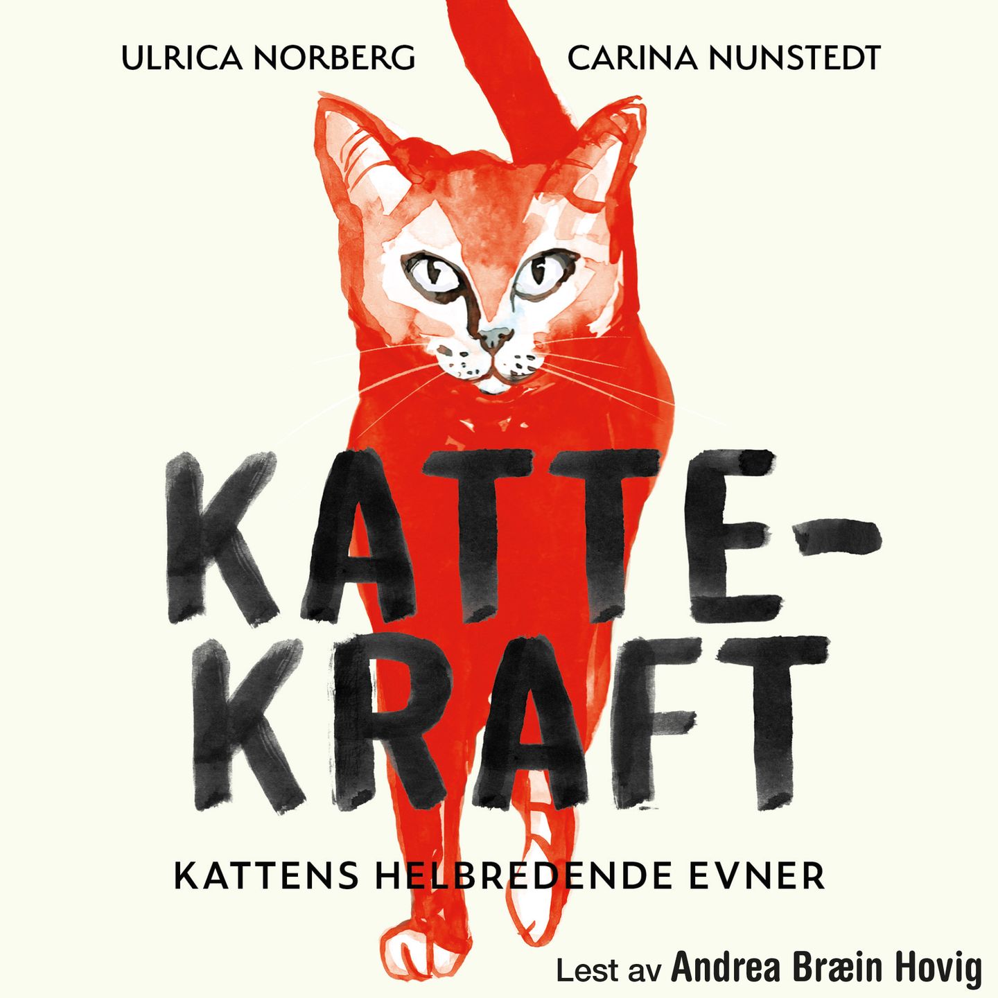 Kattekraft