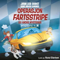 Operasjon Fartsstripe og andre mysterier