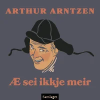 Æ sei ikkje meir