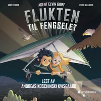 Flukten til fengselet