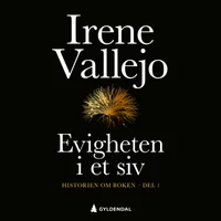 Evigheten i et siv