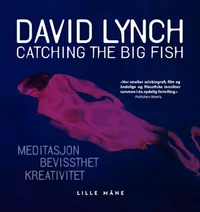 Catching the big fish