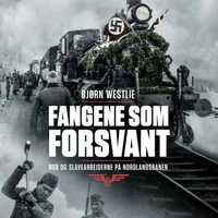 Fangene som forsvant