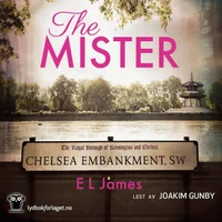 The mister