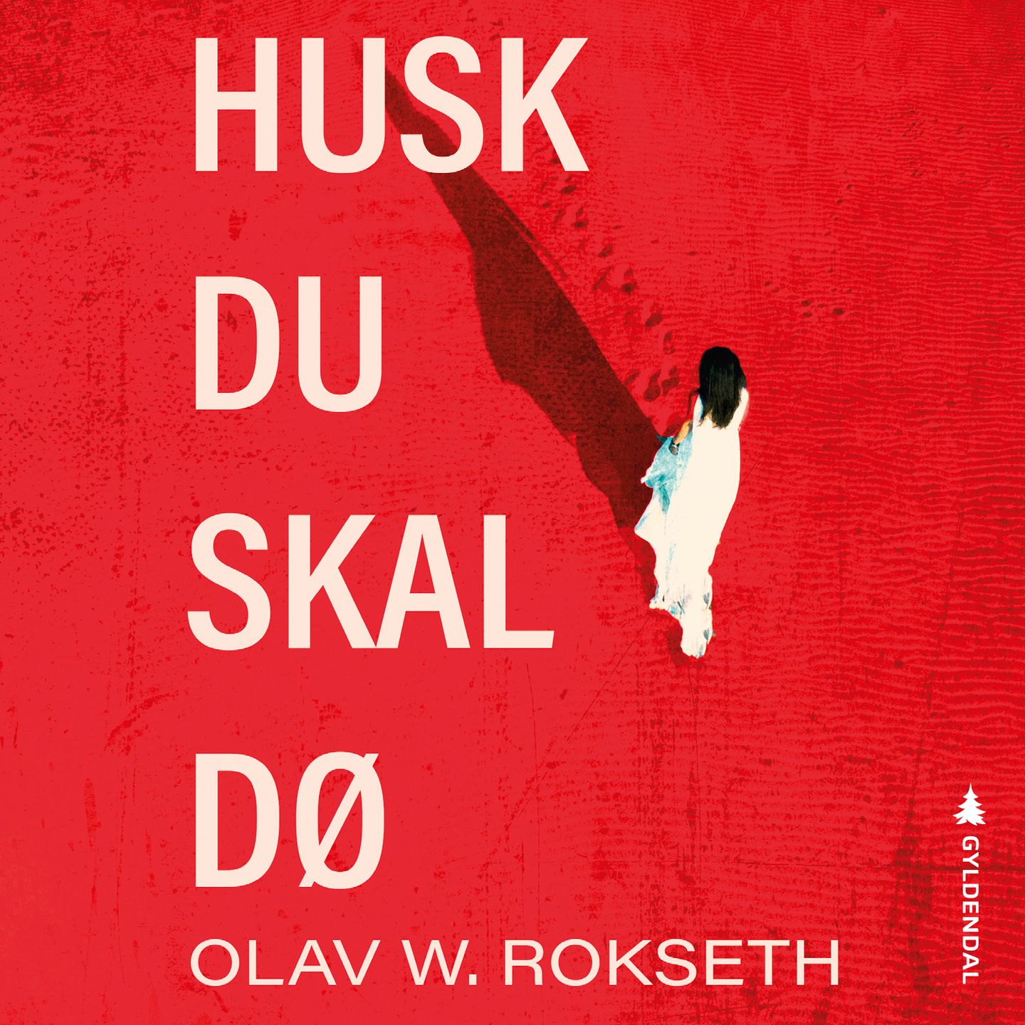 Husk du skal dø - Olav W. Rokseth - Romaner - Lydbok - Fabel