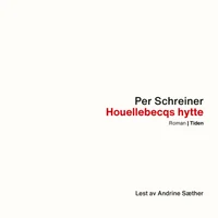 Houellebecqs hytte ; En lang rekke ulykker