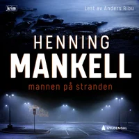 Mannen på stranden