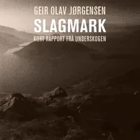 Slagmark