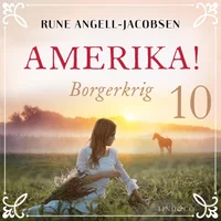 Borgerkrig
