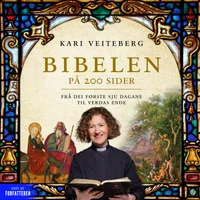 Bibelen på 200 sider