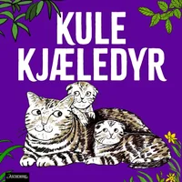 Katt - sjefen over alle kjæledyr!