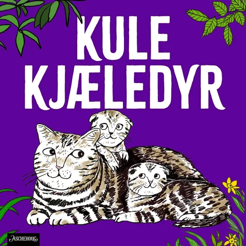 Katt - sjefen over alle kjæledyr!