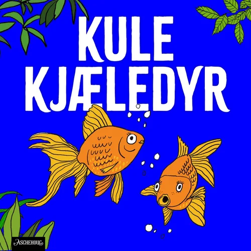 Fisker – fine og fargerike!