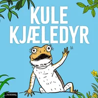 Skjeggagam – øgla som elsker å sole seg!
