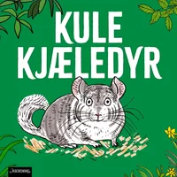 Chinchilla – parkour-dyret!