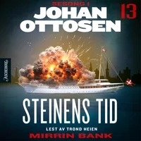 Steinens tid 13 av 14