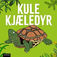 Skilpadde – går sakte og lever lenge!