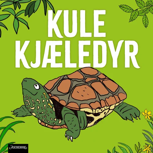 Skilpadde – går sakte og lever lenge!
