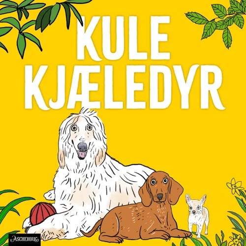 Hund – menneskets trofaste bestevenn!