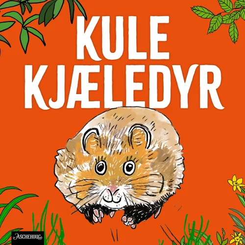 Hamster – det sporty kjæledyret!