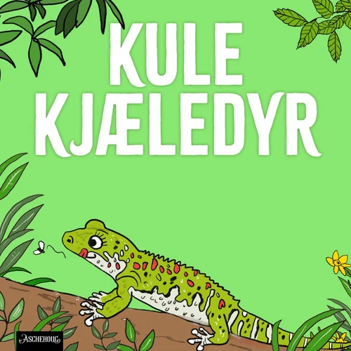 Kranset gekko – øgle med fine øyevipper!