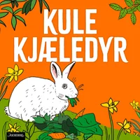 Kanin – vil bestemme selv!