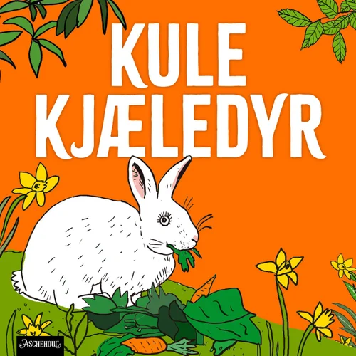 Kanin – vil bestemme selv!