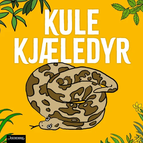 Slange – stille og mystisk type!