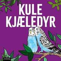 Undulat – den vennlige fuglen!