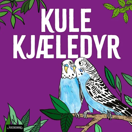 Undulat – den vennlige fuglen!