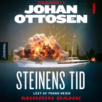 Steinens tid 1 av 14