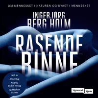 Rasende binne