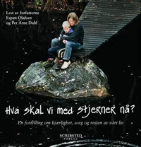 Hva skal vi med stjerner nå?