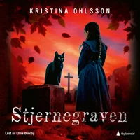 Stjernegraven