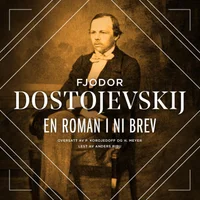 En roman i ni brev