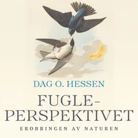 Fugleperspektivet