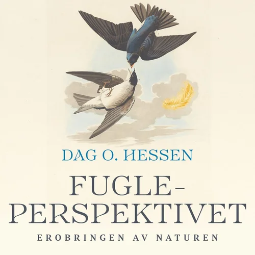 Fugleperspektivet