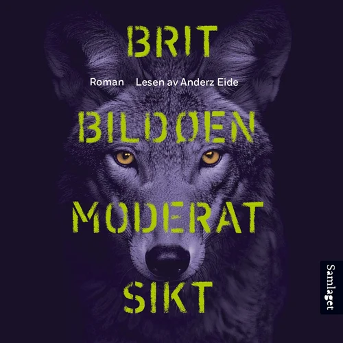 Moderat sikt