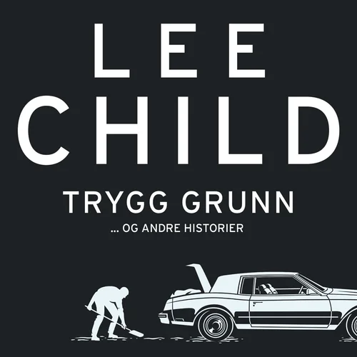 Trygg grunn