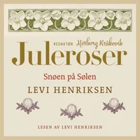 Snøen på sølen