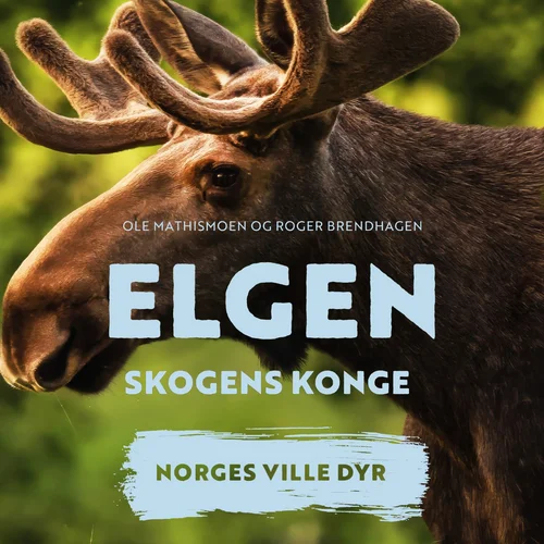 Elgen