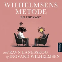 Problemer. Wilhelmsens metode 2 av 6