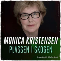 Plassen i skogen