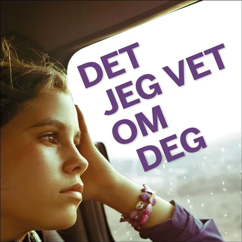 Det jeg vet om deg