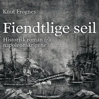 Fiendtlige seil