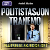 Plutselig skjedde det