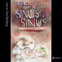 Sinus i Sinus