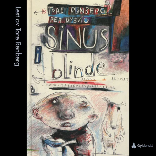 Sinus i blinde