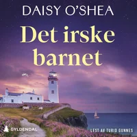 Det irske barnet